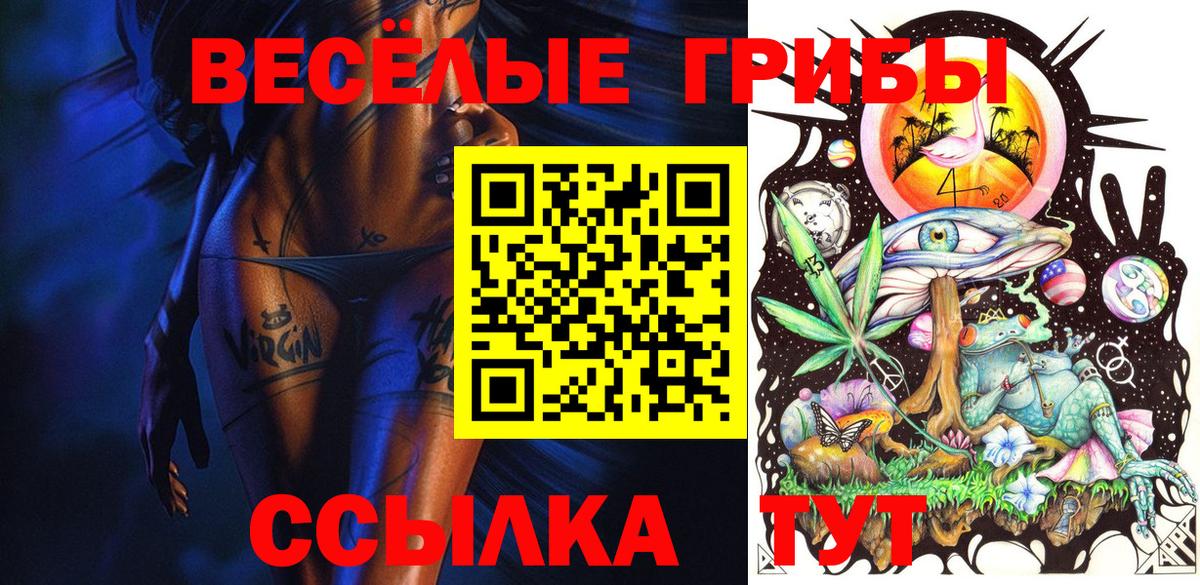Псилоцибиновые грибы прущие грибы  Псилоцибиновые грибы MAGIC MUSHROOMS  Вход с VPN  купить наркотик  Сертолово 